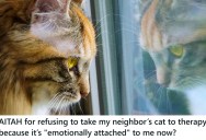 He Watched A Neighbor’s Cat For A While, And Now It Doesn’t Want To Go Home