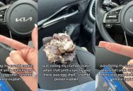 Crumbl Cookie Customer Got A Big Snack, But What She Found Inside Gave Her Pause. – ‘I felt something crunchy.’