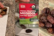 ‘That right there, that’s mold.’ – If You Like To Eat Medjool Dates You Need To Check Them First, And This Person Shows You Why