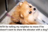 Tenant In Her Building Was Terrified To Share An Elevator With Her Dog, But She Refused To Wait For The Next One