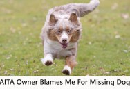 A Dog Chased Them During Their Morning Run, And Now The Pooch Is Nowhere To Be Found And The Owner Blames Them