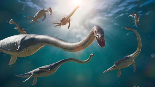 Group of elasmosaurs