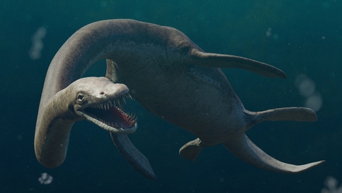 elasmosaurs swimming