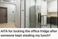 His Coworkers Kept Stealing His Homemade Lunches, But When He Bought A Personal Mini Fridge To Protect It, He Suddenly Became The Office Outcast