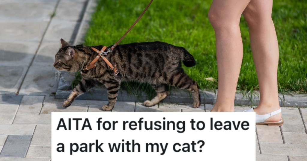 a woman walking a cat on a leash