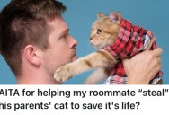 His Roommate’s Mom Wanted To Put Her Cat To Sleep For A Ridiculous Reason, So He Helped Him Take The Cat Away From Her