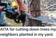 Homeowner Found Out The Trees His Rude Neighbor Planted Were On His Property, So He Cut Them Down