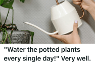 His Parents Demanded Daily Watering Of Their Plants And Refused To Listen To His Objections, So He Followed Orders Until The Plants Started To Die