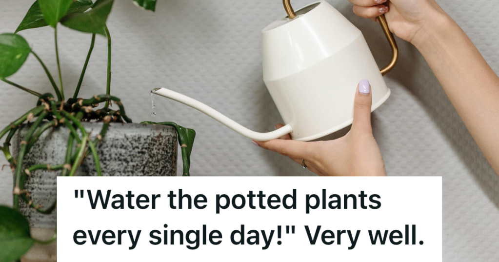 watering indoor plants