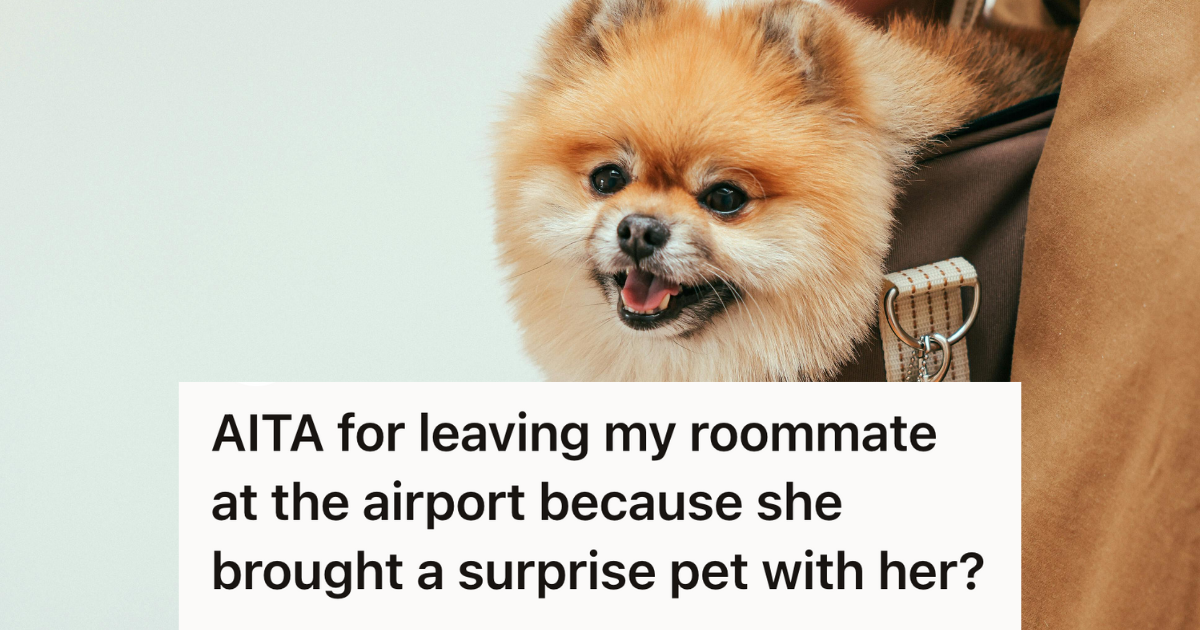 woman carrying a puppy in her purse