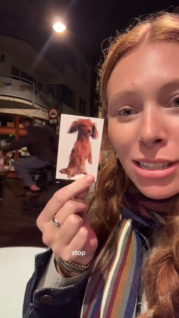 Killy with a dog card