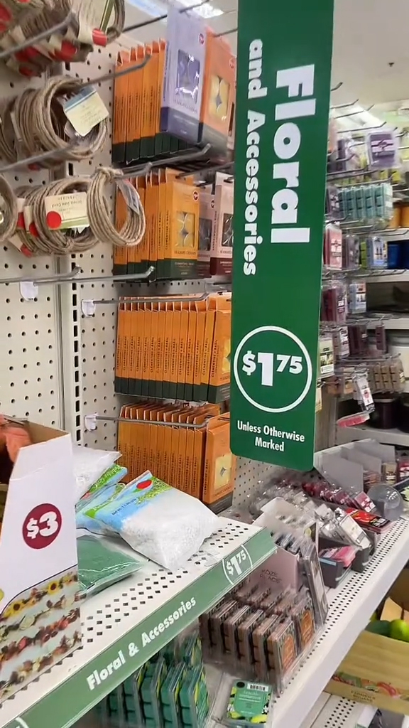 Denaila Cole at a Dollar Tree