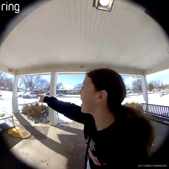 A girl looking for a neighborhood dog