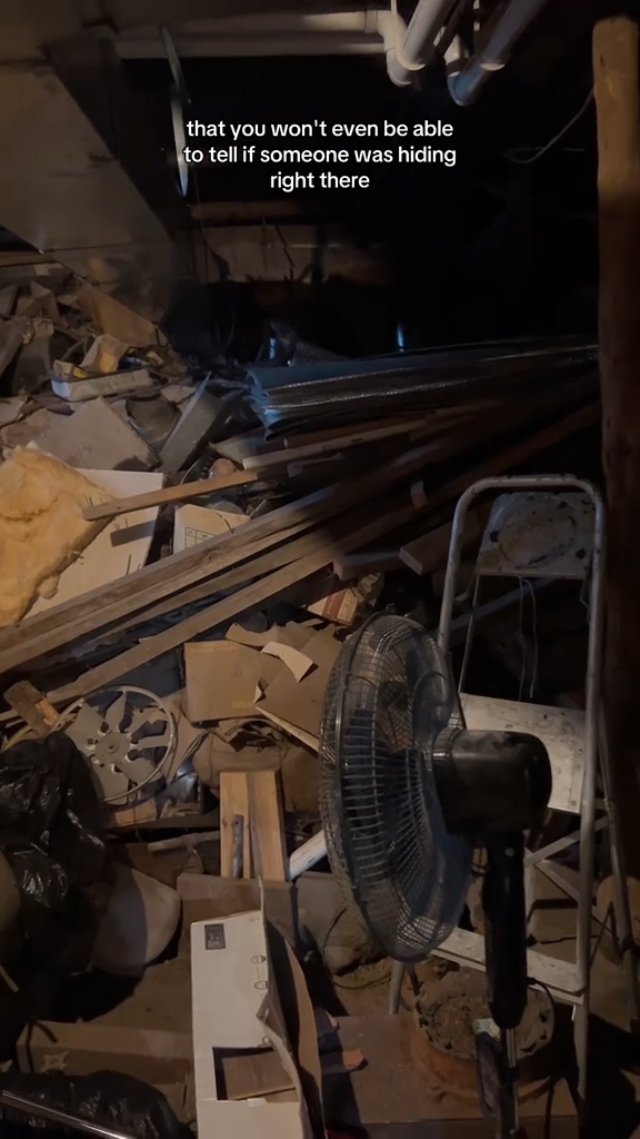 Bobbie Curtis Lee in her basement