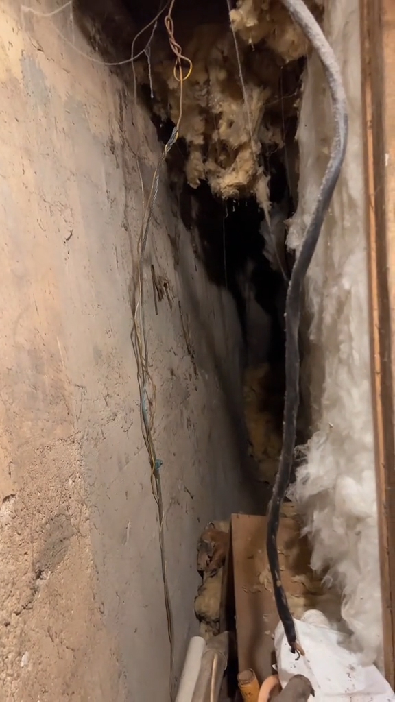 Bobbie Curtis Lee in her basement