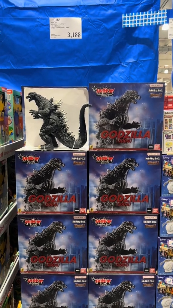 A Costco location in Japan