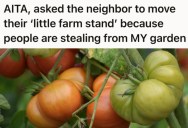 Homeowners Grew Fresh Produce In Their Yard To Save Money, But When Their Neighbor’s Actions Caused People To Steal The Produce, They Somehow Ended Up The Villains