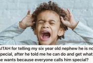 Aunt Told Her Bratty Nephew He Can’t Always Get Whatever He Wants, But Now She’s Somehow The Bad Guy