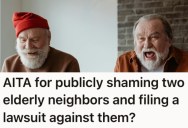 Two Elderly Guys Got Elected To An Apartment Council And Started Implementing Crazy Rules, So A Tenant Reported Them And Filed A Lawsuit