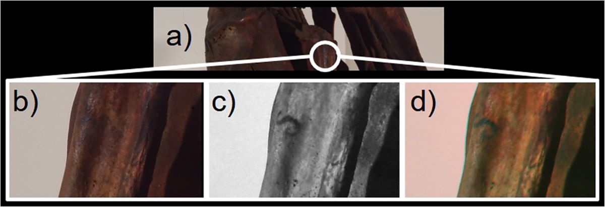 An ancient Andean wrist tattoo