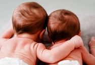 New Study Of Twins Provides Ground-Breaking Insight Into The Correlation Between Cognitive Correlation At 7 Months And 30 Years