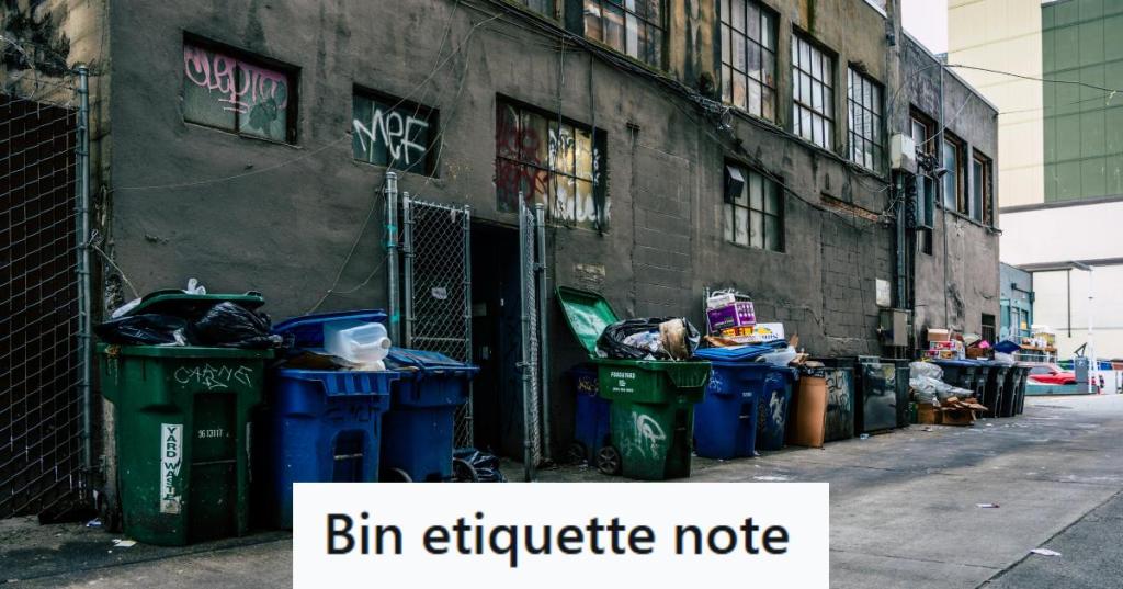 Trash bins overflowing in the back of an apartment complex