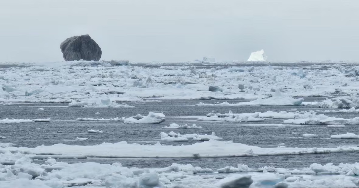 A rare black iceberg