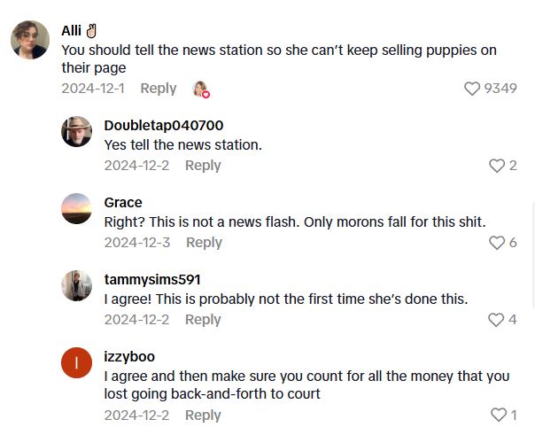 Comment 1 101 She Wanted To Get A Puppy For Her Family, And Thought It Would Be A Simple And Fun Process. Nothing Could Be Further From The Truth.