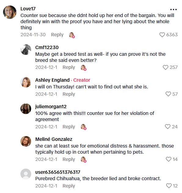 Comment 2 101 She Wanted To Get A Puppy For Her Family, And Thought It Would Be A Simple And Fun Process. Nothing Could Be Further From The Truth.