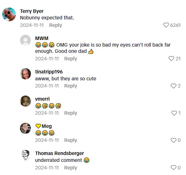 Comment 2 141 Oh, theres three of them.   Mechanics Heard Something Thumping In A Van, And Then Found A Few Friends Hopping Around In The Vehicle