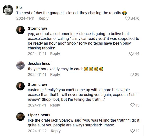 Comment 3 140 Oh, theres three of them.   Mechanics Heard Something Thumping In A Van, And Then Found A Few Friends Hopping Around In The Vehicle