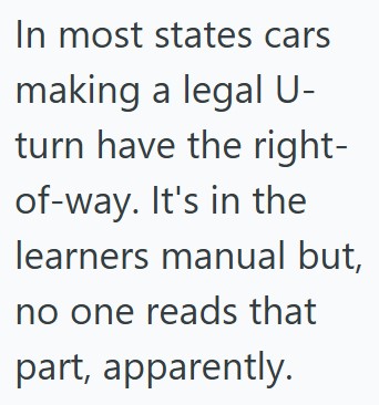 Comment 3 88 Another Driver Followed And Yelled At Her, So She Yelled Back That Her Boyfriend Was A Cop