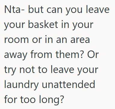 Comment 4 68 Daughter Wants To Do Her Own Laundry To Make Sure It Is Done Right, But When She Asked Her Family Members To Stop Including Her Clothes, They Got Upset