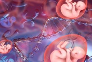 You Get Your DNA From Your Mother And Your Father, But Did You Know That Your Mother Also Gets Some DNA From You?