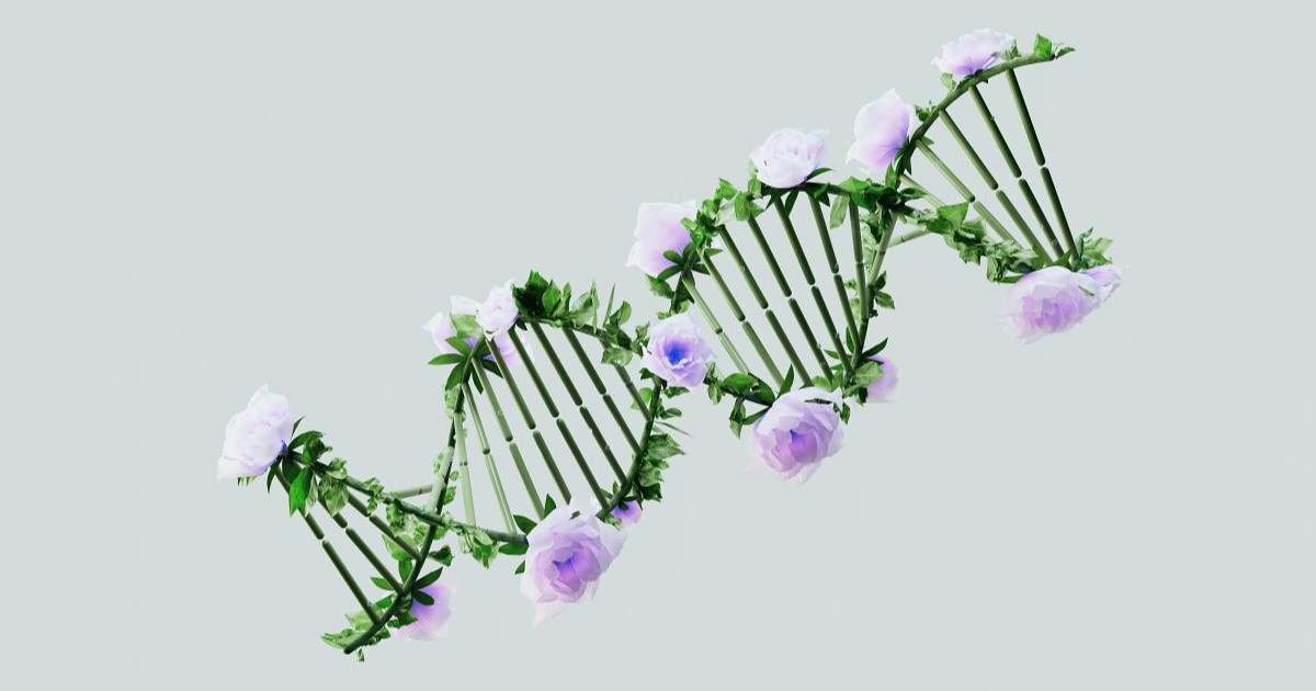 An artist's impression of genetic helix