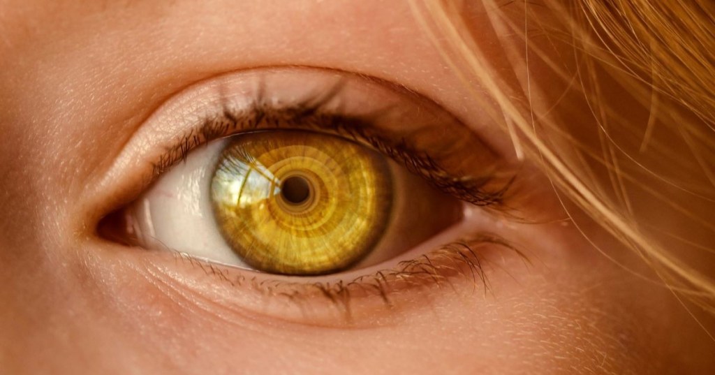 A woman's golden iris
