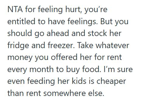 Hurt Feelings 2 She Watched Her Sister’s Kids And Pets For Free, But After Four Days All She Got Was A Comment About The Freezer Being Empty