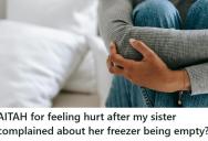 She Watched Her Sister’s Kids And Pets For Free, But After Four Days All She Got Was A Comment About The Freezer Being Empty