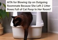 Her Old Roommate Moved Her Cats Out Nearly A Week Ago, But Left Two Filled Litter Boxes Behind. So She Texted Her To Come Get Rid Of Them.