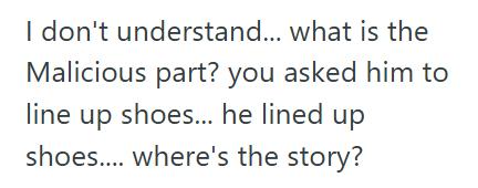 Lined Up Mom Asked Her Son To Line Up The Shoes By The Door, But His Literal Interpretation Created A Hilarious New Obstacle Course