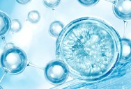 New Paper Examines A Liquid That Seems To Violate The Laws Of Thermodynamics