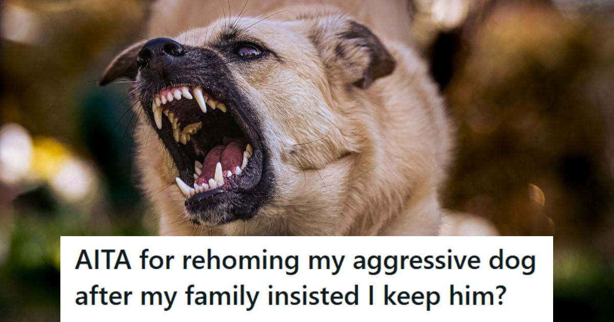 Aggressive dog trying to get at someone