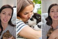 She Wanted To Get A Puppy For Her Family, And Thought It Would Be A Simple And Fun Process. Nothing Could Be Further From The Truth.