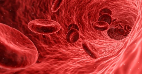 Healthy red blood cells