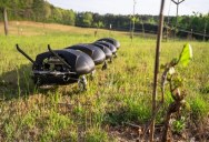 Massive Robot Centipedes Could Soon Be Swarming Through Fields Near You