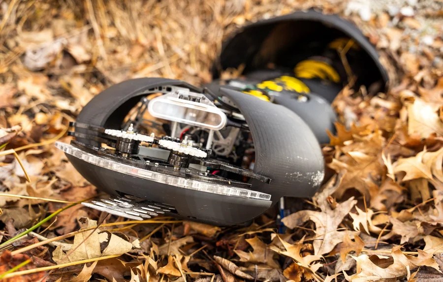 Robot centipede in autumn leaves