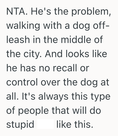 Screenshot 2025 07 03 at 9.16.35 PM A Careless Owner Let His Dog Charge At Her Foster Dog, So She Stepped In And It Turned Into A Big Fight
