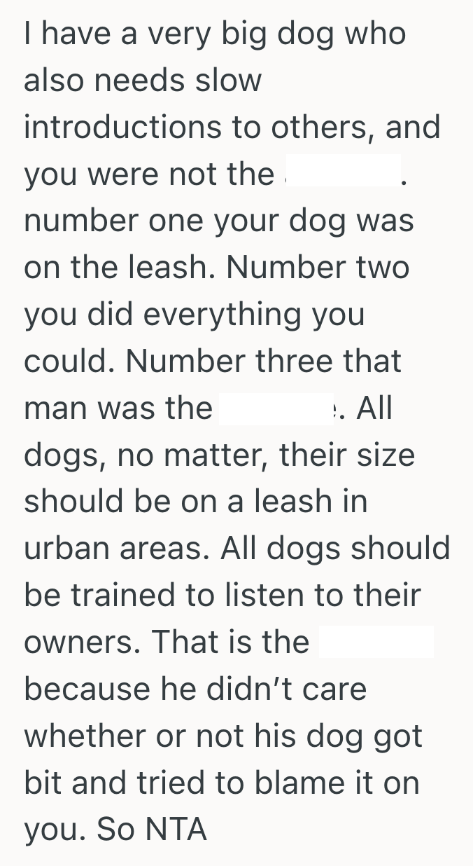 Screenshot 2025 07 03 at 9.20.57 PM A Careless Owner Let His Dog Charge At Her Foster Dog, So She Stepped In And It Turned Into A Big Fight
