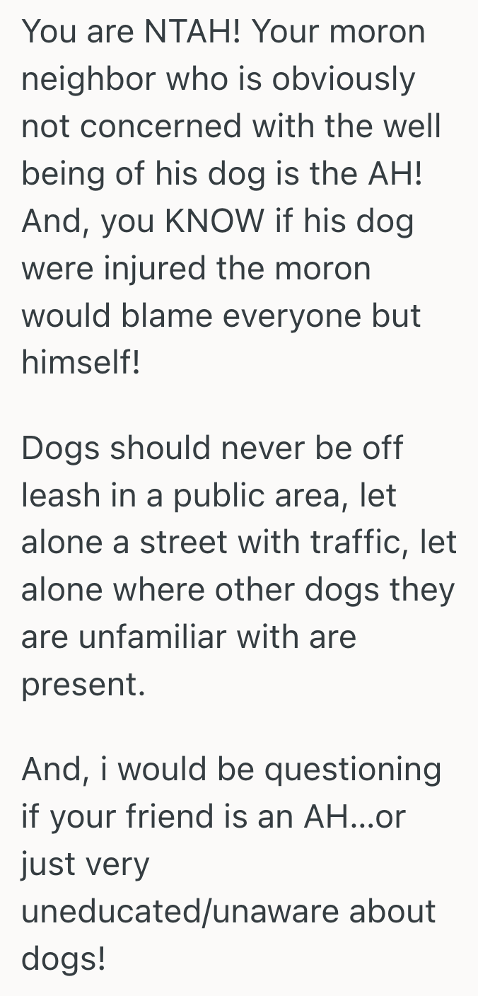 Screenshot 2025 07 03 at 9.21.56 PM A Careless Owner Let His Dog Charge At Her Foster Dog, So She Stepped In And It Turned Into A Big Fight