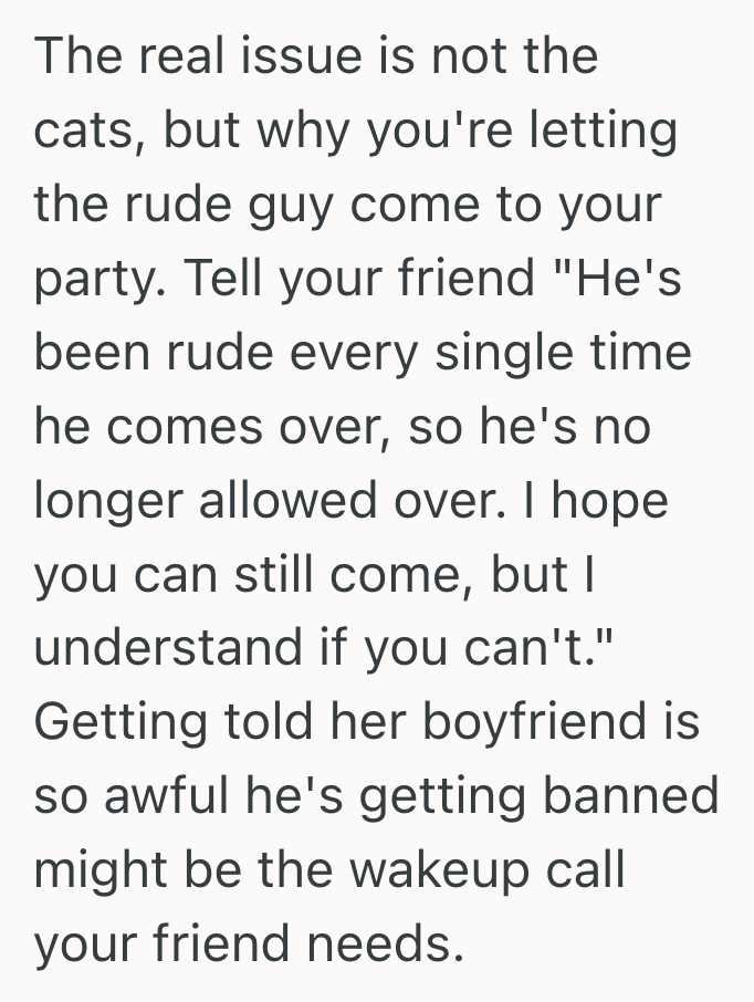 Screenshot 2025 07 04 at 5.51.58 PM Her Best Friends Boyfriend Demanded She Lock Up Her Cats To Appease His Allergies, So She Decided She Valued Her Cat More Than His Opinion